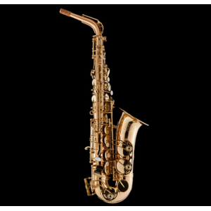 SCHAGERL SUPERIOR A-1L SAX ALTO