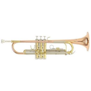 ROY BENSON TR202G