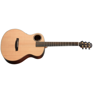 WALDEN B1EH GUITARRA BARITONO C/ESTOJO RIGIDO