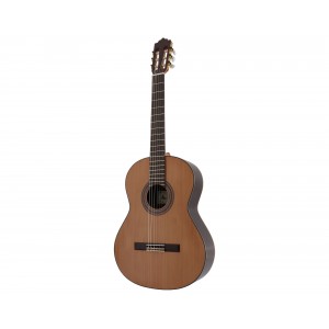 Guitarra classica elect Paco Castillo 203 III Fishman natural