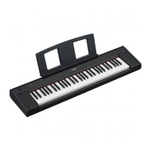 YAMAHA NP15B