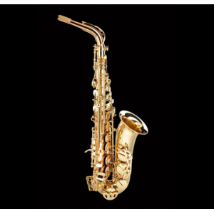 SCHAGERL SUPERIOR A-1GM SAX ALTO