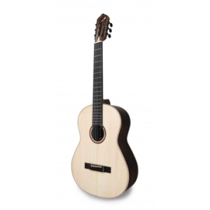 APC CGS312 C/ESTOJO PICKUP FISHMAN