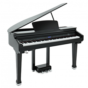 GFM Piano Digital de Cauda Preto Polido
