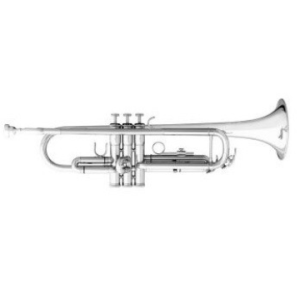 BESSON NEW STANDARD 110 PRATEADO