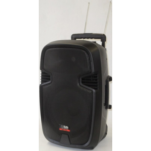 AUDIO DESIGN PRO PAX1 12W/L