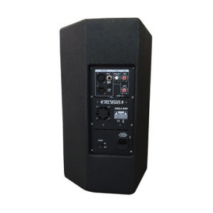 DEFINITIVE AUDIO KOALA 8AW 600W