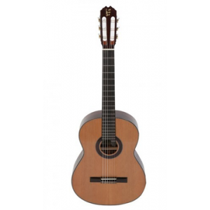APC LUTHIER C/ ESTOJO