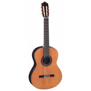 PACO CASTILLO 203