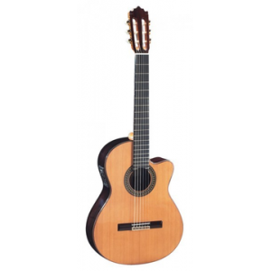 PACO CASTILLO 224CE