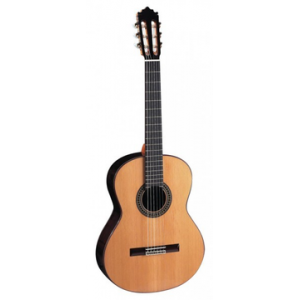 PACO CASTILLO 240 C/ ESTOJO SEMI-RÍGIDO