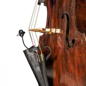 PRODIPE BL21 PRODIPE BL21