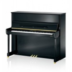 BECHSTEIN CONTUR 118
