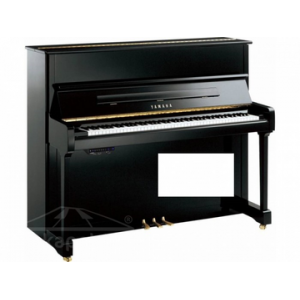 YAMAHA P116M SILENT PRETO POLIDO