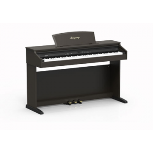 RINGWAY TG8867 PIANO DIGITAL