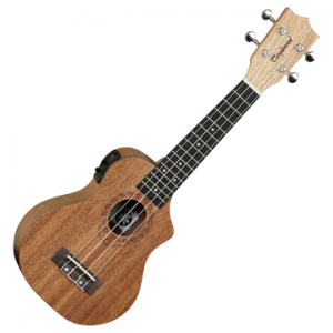 TANGLEWOOD TWT1CE