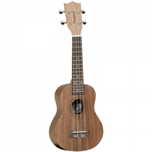 TANGLEWOOD TWT2