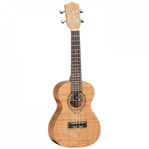TANGLEWOOD TWT6
