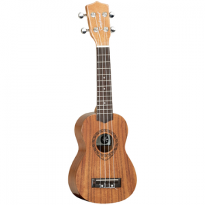 TANGLEWOOD TWT7