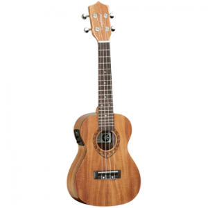 TANGLEWOOD TWT8E