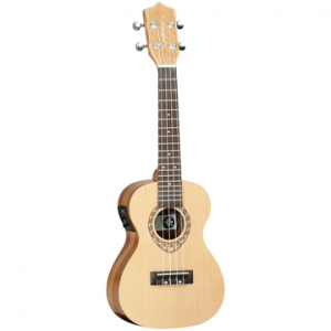 TANGLEWOOD TWT9E