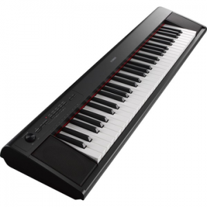 YAMAHA NP12