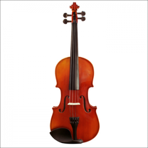 ASHTON VIOLINO 4/4 AV442AVN ASHTON VIOLINO 4/4 AV442AVN