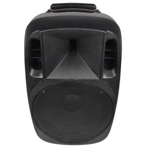 Coluna Amplificada 15" Portátil