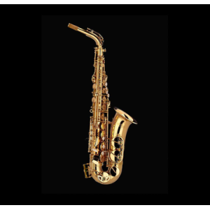 SCHAGERL ACADEMICA A 900L SAX ALTO