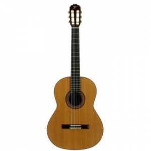 JOSÉ TORRES JTC-40 GUITARRA CLÁSSICA