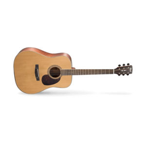 CORT EARTH100 NS