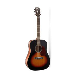 CORT EARTH100 SB