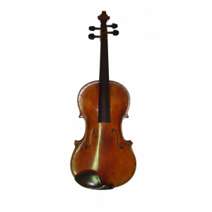 ANTONIO WANG TAORMINA 15"